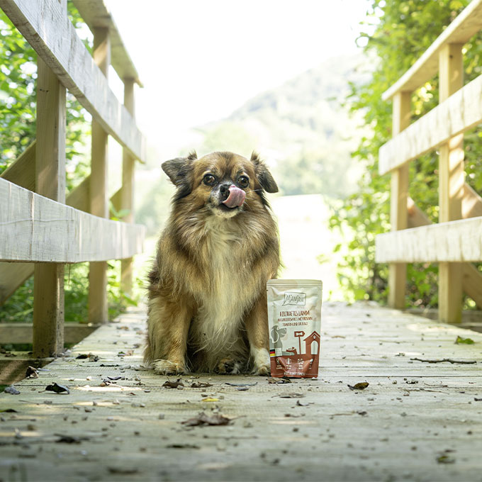 Produktdetail Moodbild